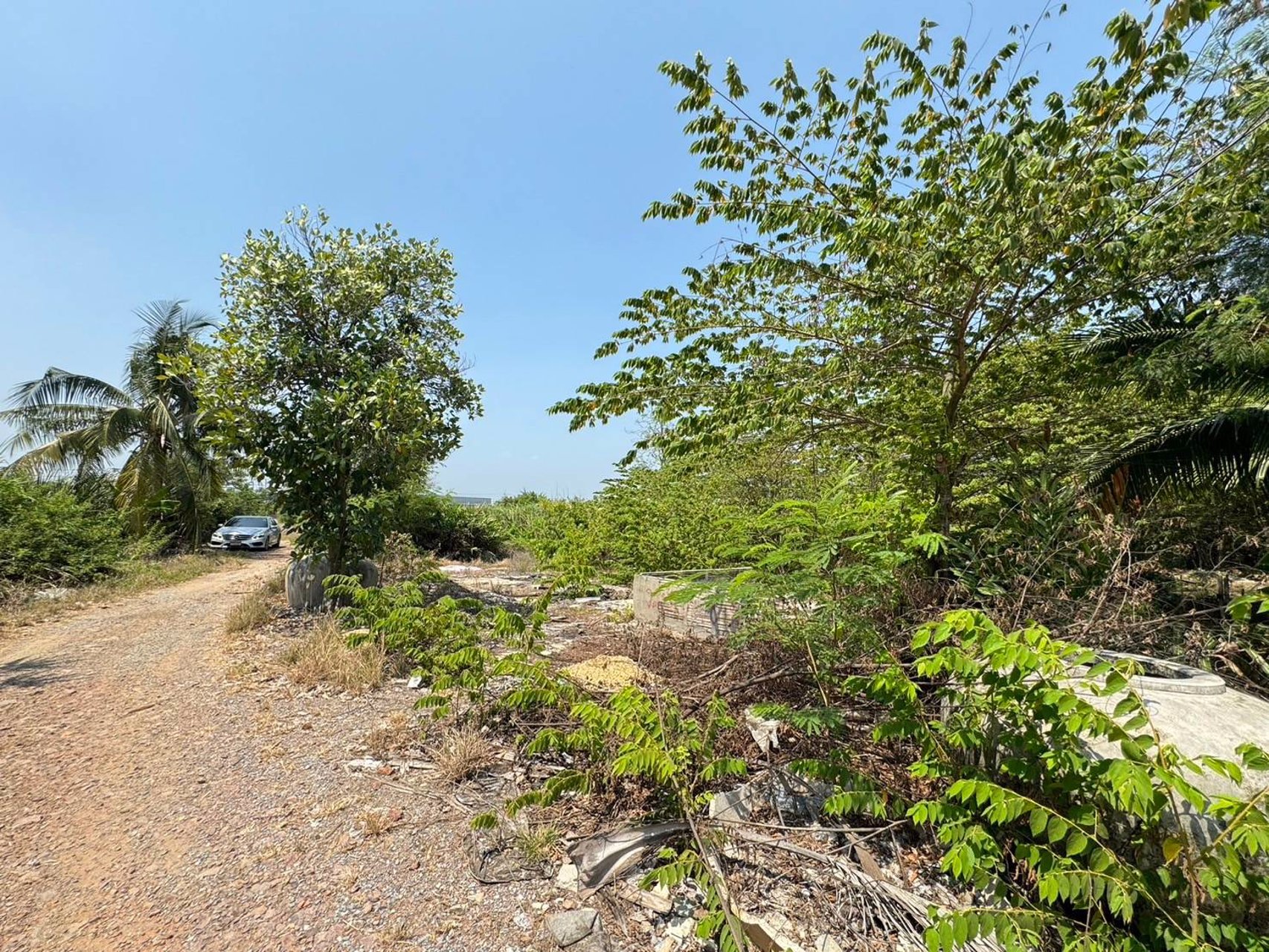 ขายที่เปล่าติดถนนดอนไก่ดีที่เปล่ากระทุ่มแบน-สมุทรสาคร