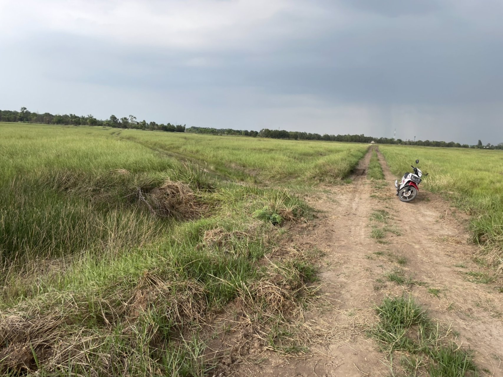 ขายด่วน-ที่ดินเนื้อที่-4ไร่-2-งาน-61ตารางวา-ขายยกแปลง