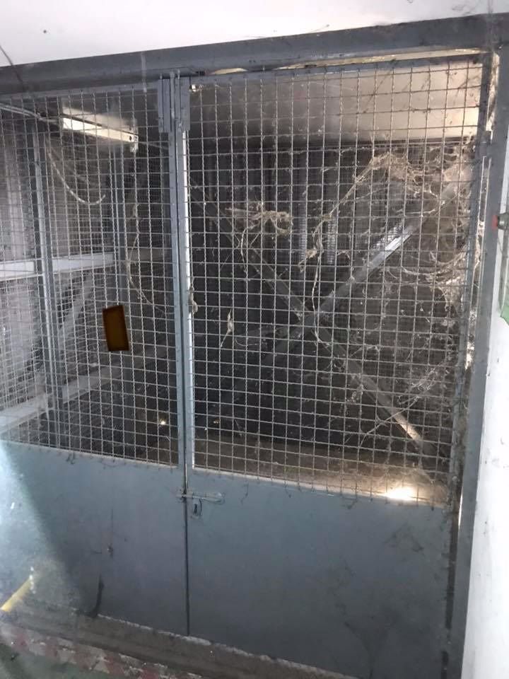 ขาย-นิคมอุตสาหกรรม-mmc-3-งาน-23-ตรว-คลองหนึ่ง-ปทุมธานี