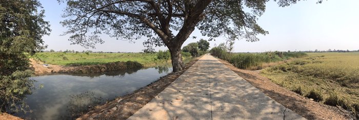 ขาย-ที่ดินเปล่า-29ไร่-ถนนราชพฤกษ์-ปทุมธานี