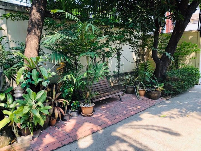 ให้เช่าบ้าน-2-ชั้น-สุขุมวิท-31-ริมถนนเมน-ปากซอยเอ็มสเฟียร์-218-ตรวา-พร้อมสระว่ายน้ำ