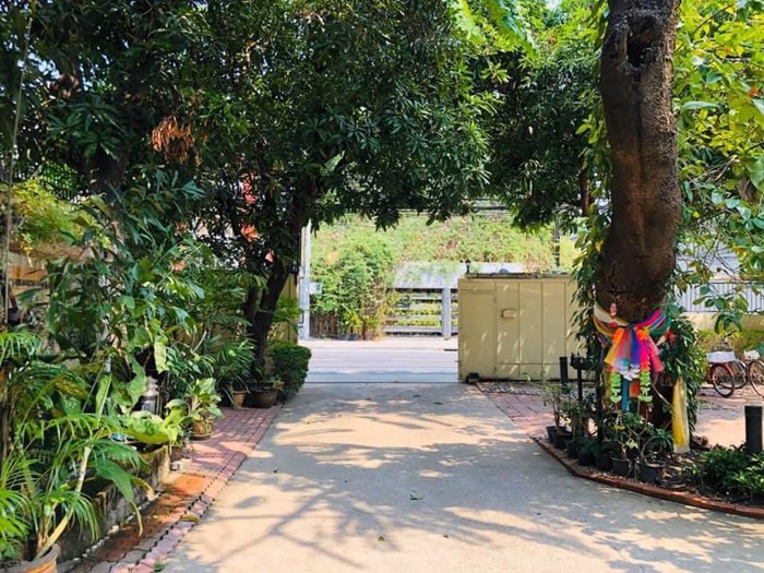 ให้เช่าบ้าน-2-ชั้น-สุขุมวิท-31-ริมถนนเมน-ปากซอยเอ็มสเฟียร์-218-ตรวา-พร้อมสระว่ายน้ำ