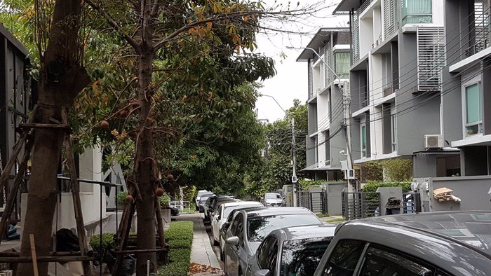 ให้เช่า-ออฟฟิศ-สำนักงาน-บี-สแควร์-พระราม-9-เหม่งจ๋าย-ทำเลพระราม-9-เหม่งจ๋าย-พร้อมเฟอร์นิเจอร์สำนัก