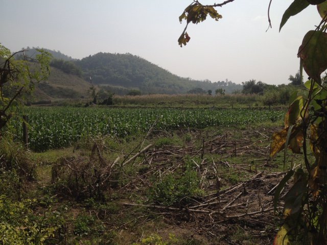 ขายที่ดินลำปาง-3-แปลงรวม5-ไร่-ห่างจากอุทยานน้ำตกวังเเก้วประมาณ-10-นาที-โดยรถยนต์-