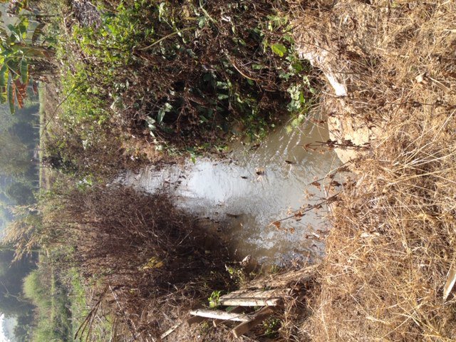 ขายที่ดินลำปาง-3-แปลงรวม5-ไร่-ห่างจากอุทยานน้ำตกวังเเก้วประมาณ-10-นาที-โดยรถยนต์-