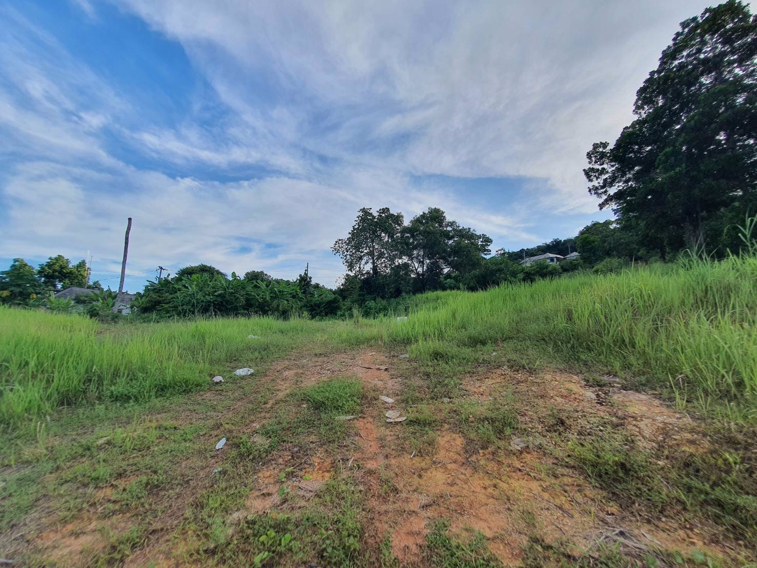 ขายที่ดินเปล่า-5-0-33-ไร่-ตวิชิต-อเมืองภูเก็ต-จภูเก็ต