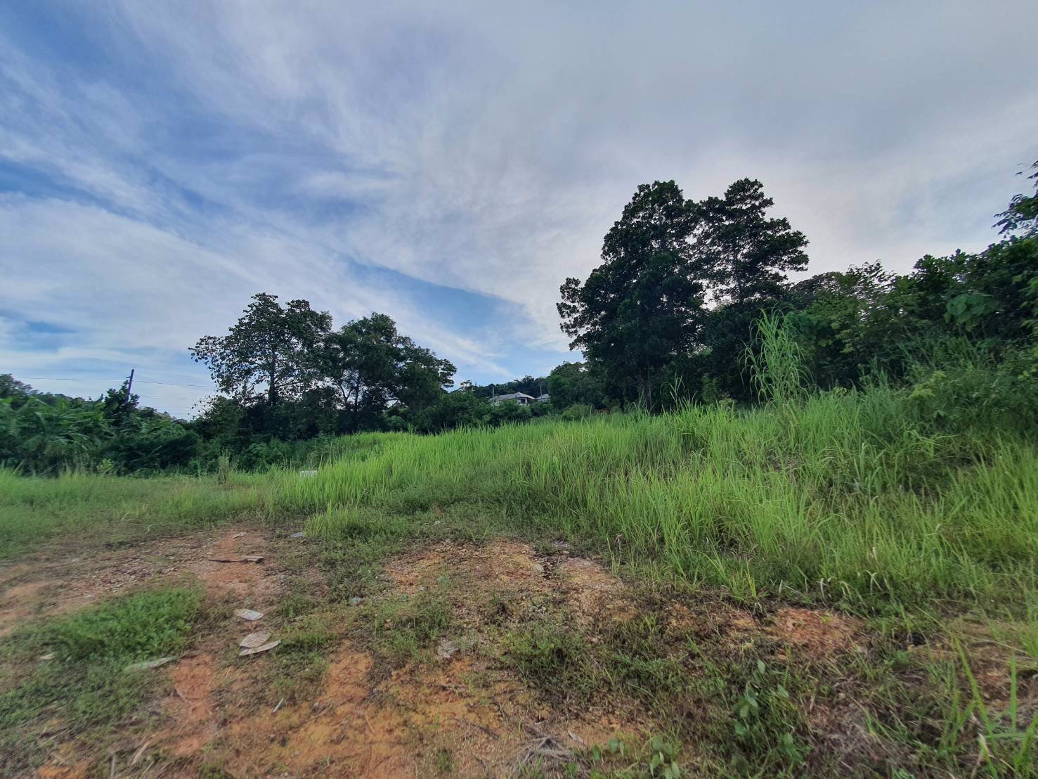 ขายที่ดินเปล่า-5-0-33-ไร่-ตวิชิต-อเมืองภูเก็ต-จภูเก็ต