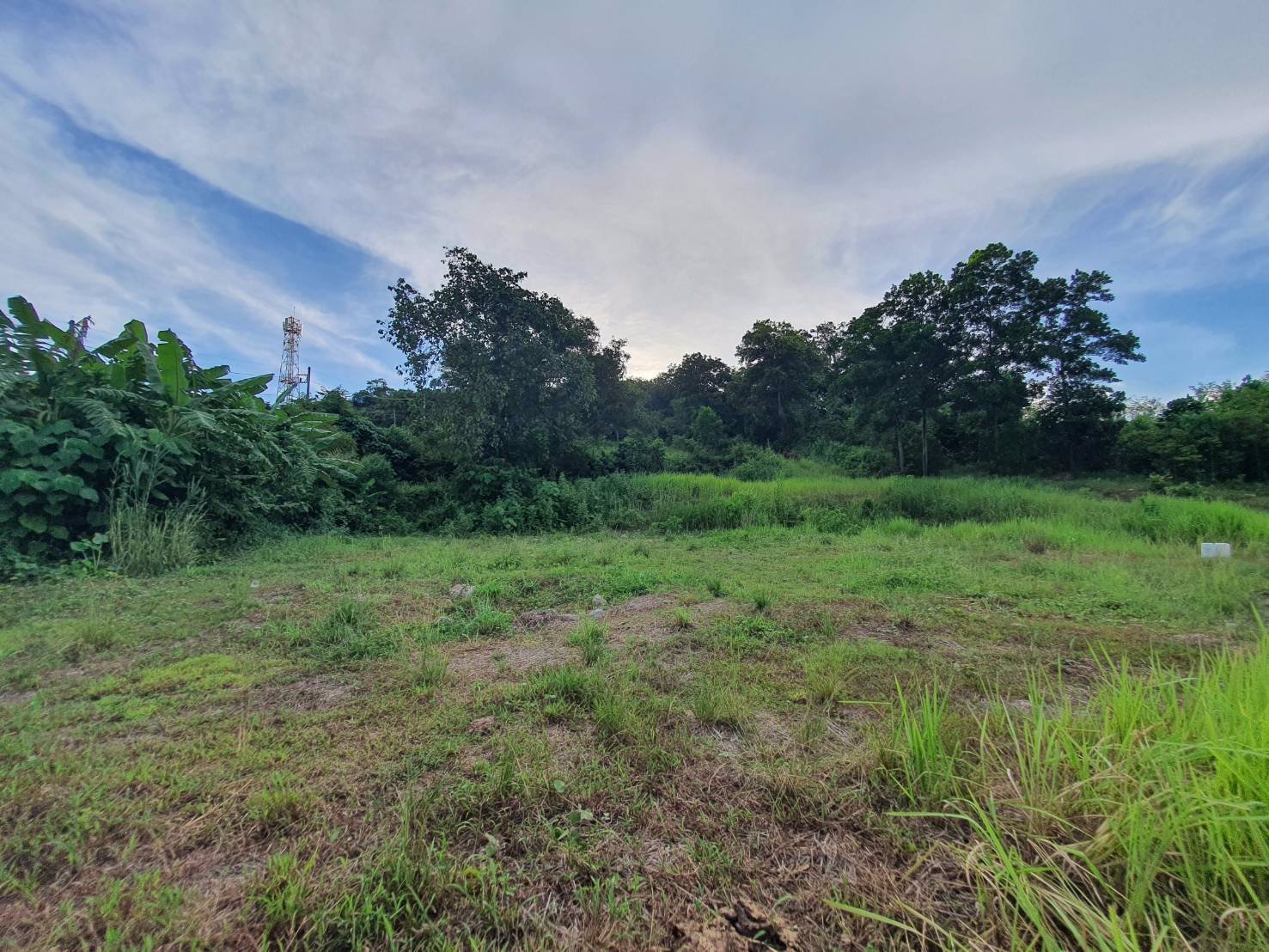 ขายที่ดินเปล่า-5-0-33-ไร่-ตวิชิต-อเมืองภูเก็ต-จภูเก็ต