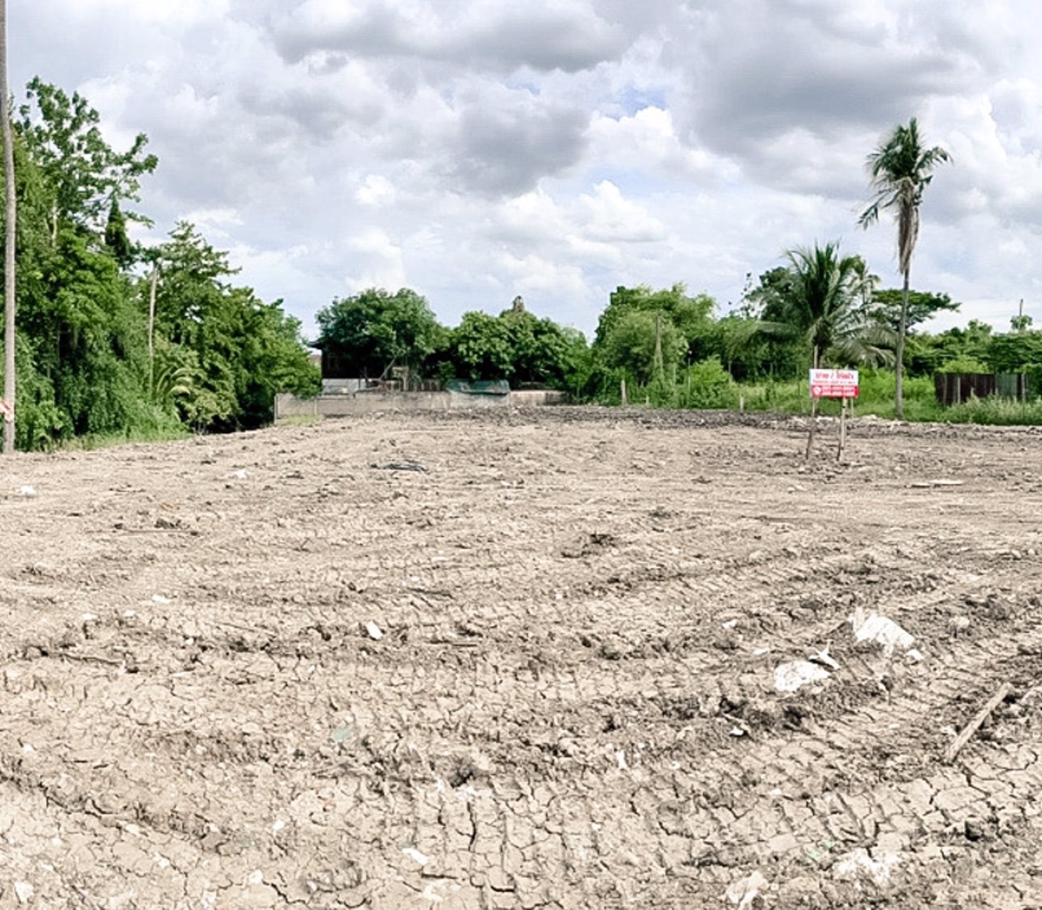 ที่ดินให้เช่า-ขาย-1-ไร่-11-ตารางวา