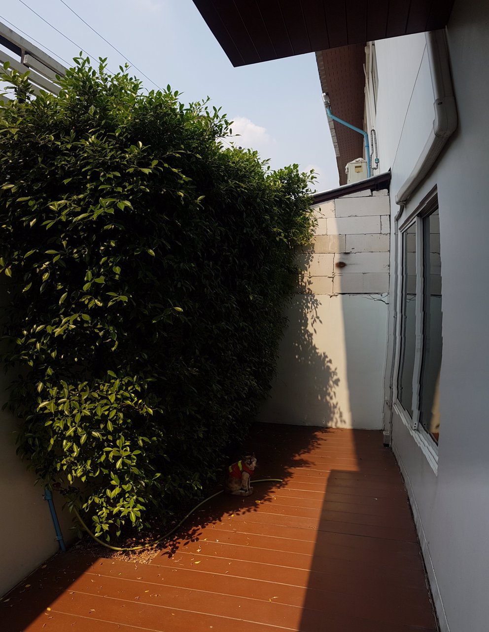 ทาวเฮ้าส์-3-ชั้น-เนอวานา-คลัสเตอร์-รามคำแหง-nirvana-cluster-ramkhamhaeng-