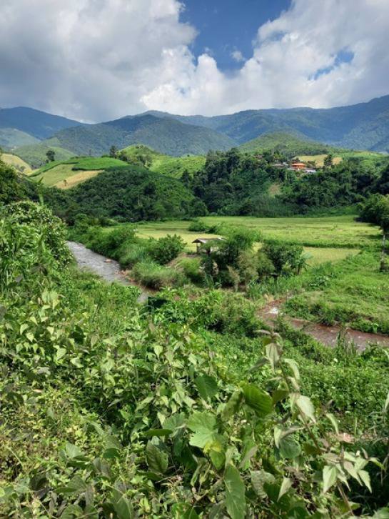 ขายที่ดินในหมู่บ้านสะปัน-จน่าน