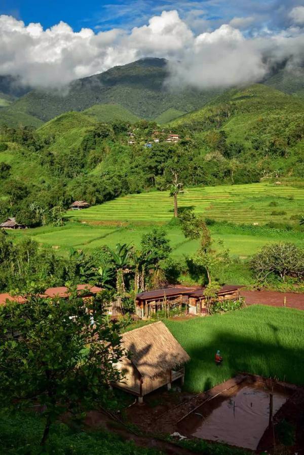 ขายที่ดินในหมู่บ้านสะปัน-จน่าน