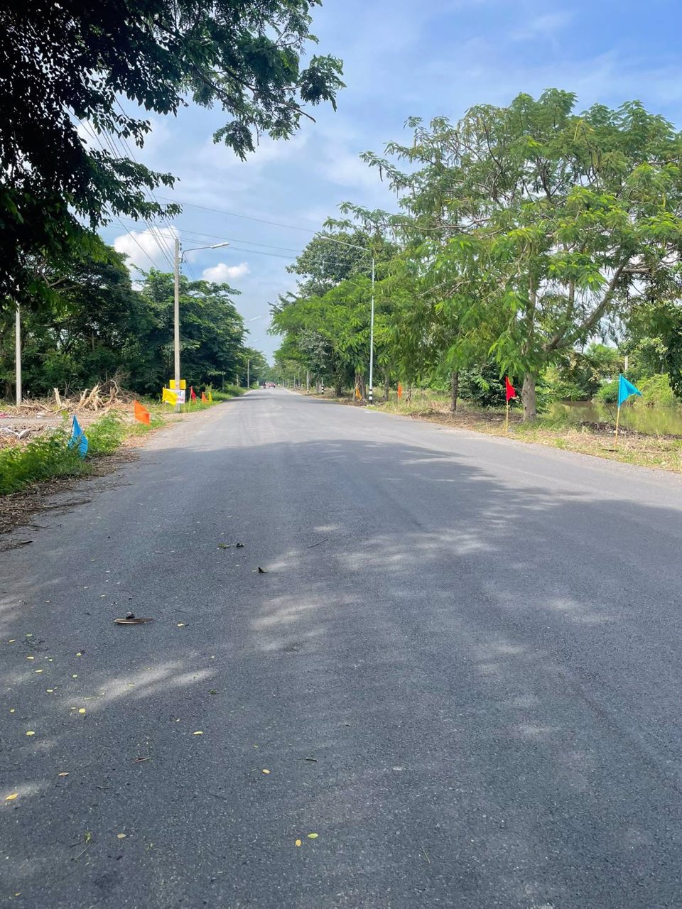 ที่ดิน-คลอง11-หนองเสือ-ปทุมธานี