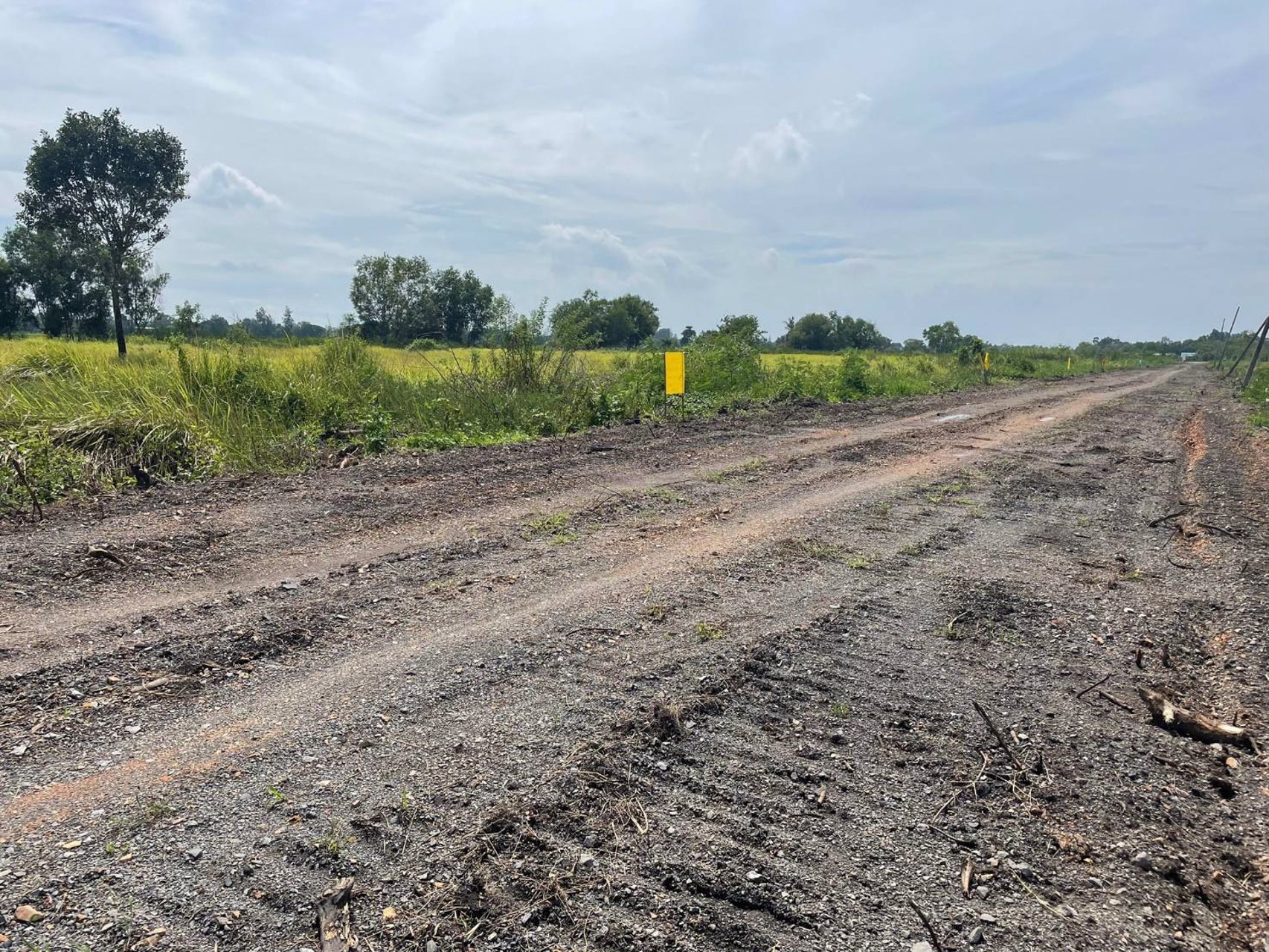 ที่ดิน-คลอง11-หนองเสือ-ปทุมธานี