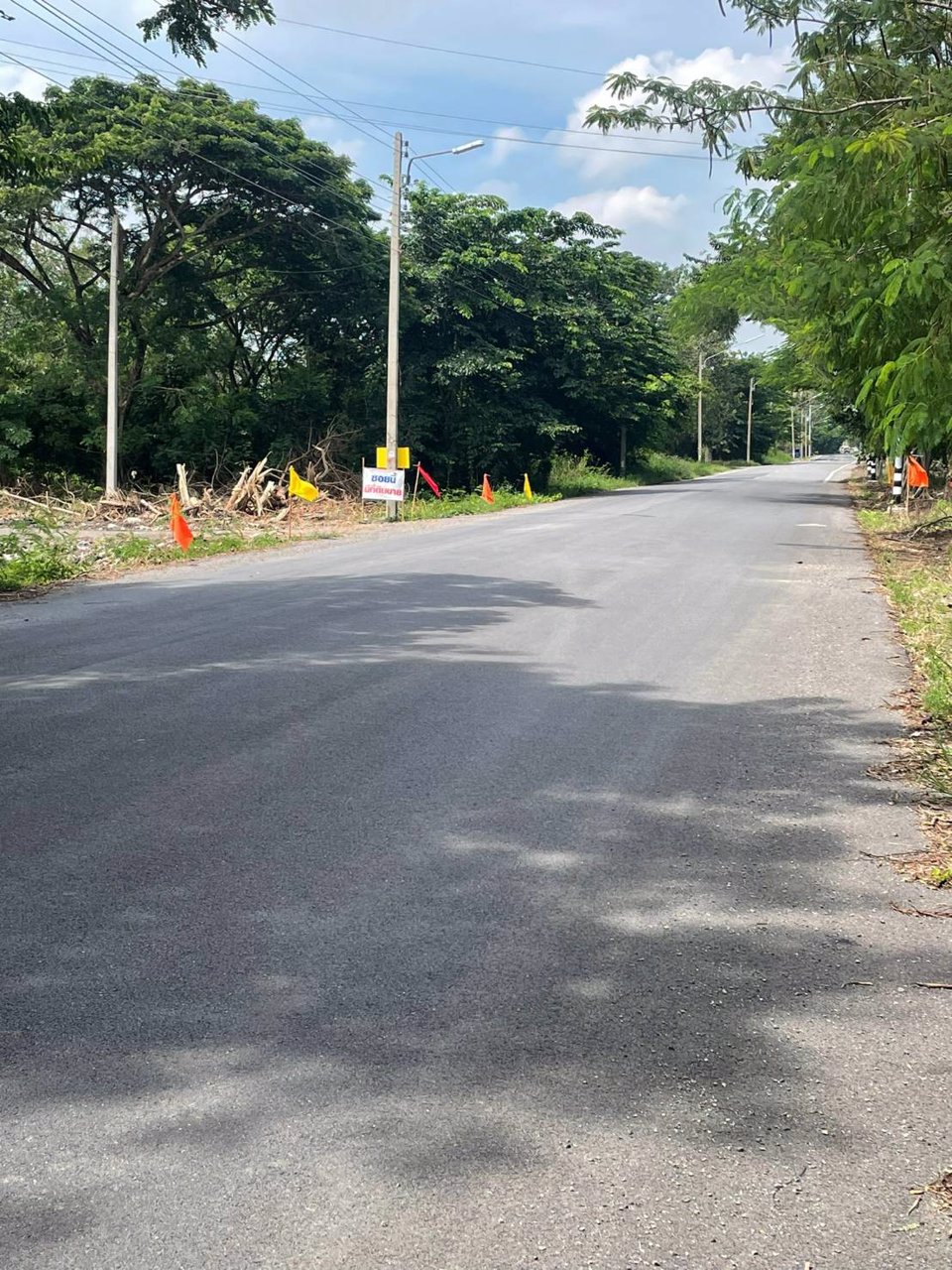 ที่ดิน-คลอง11-หนองเสือ-ปทุมธานี