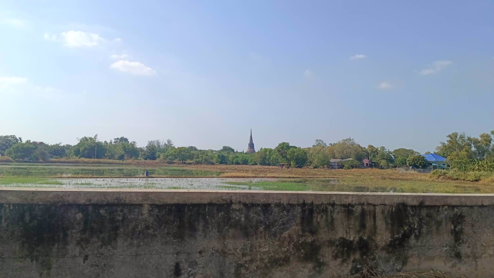 ขายที่ดิน-1-ไร่-วิวสวยวัดใหญ่ชัยมงคล-หลวงปู่ขาว-ซอย-1