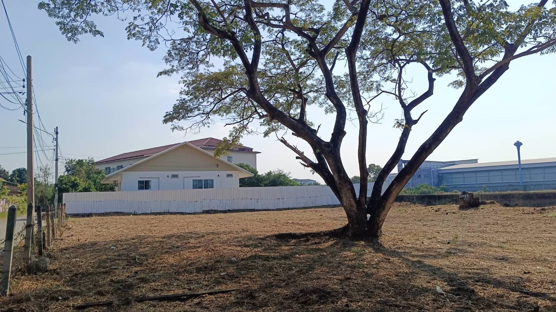 ขายที่ดิน-1-ไร่-วิวสวยวัดใหญ่ชัยมงคล-หลวงปู่ขาว-ซอย-1