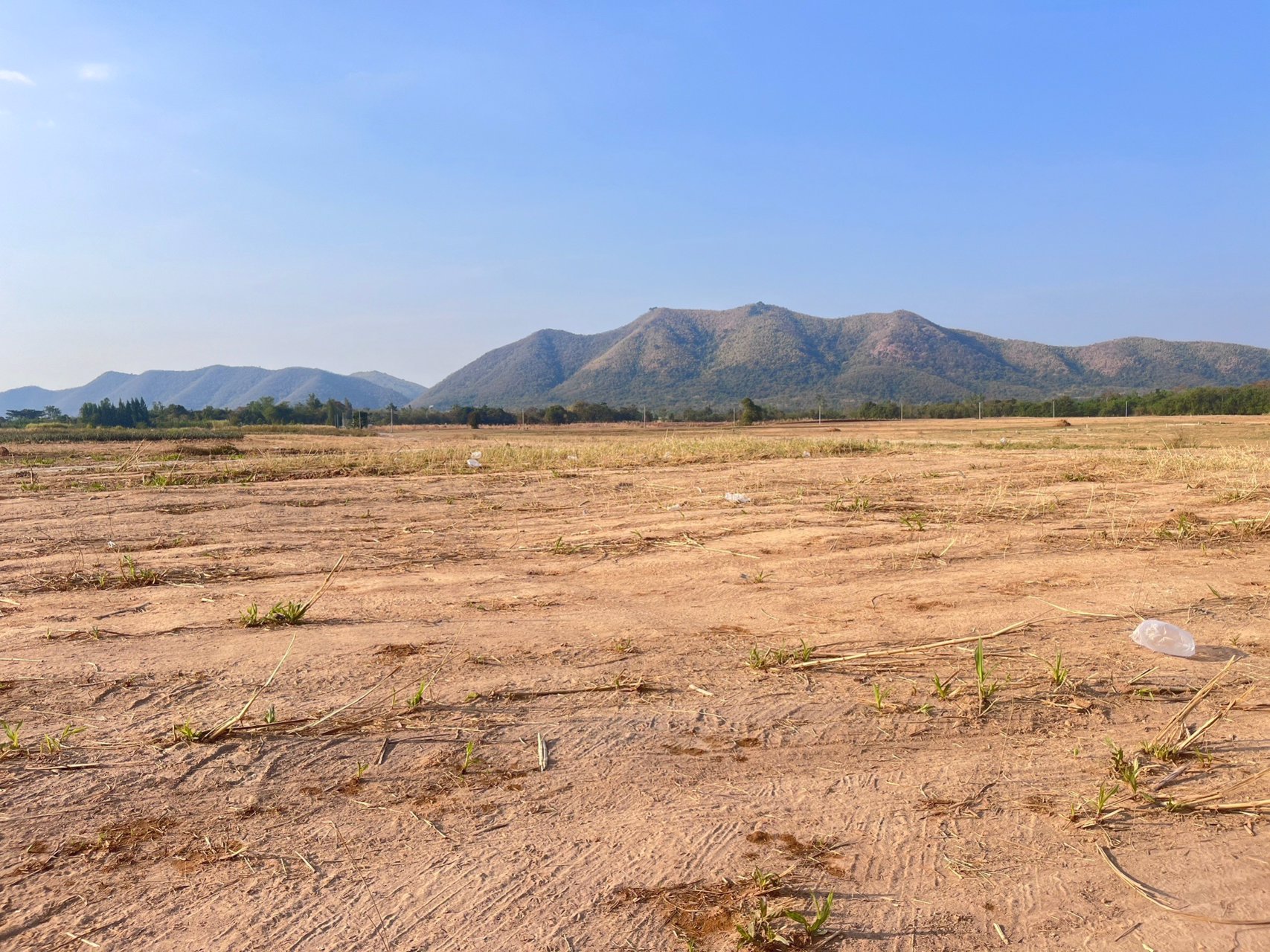 มาแล้วค่ะของดีมีน้อยนะค่ะ-วิวเขาดอกไม้สวยๆ