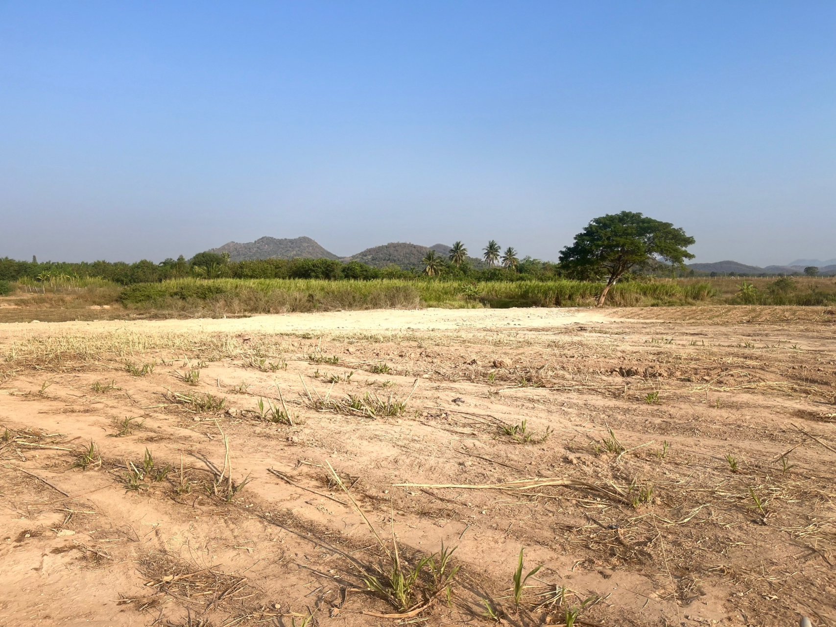 มาแล้วค่ะของดีมีน้อยนะค่ะ-วิวเขาดอกไม้สวยๆ