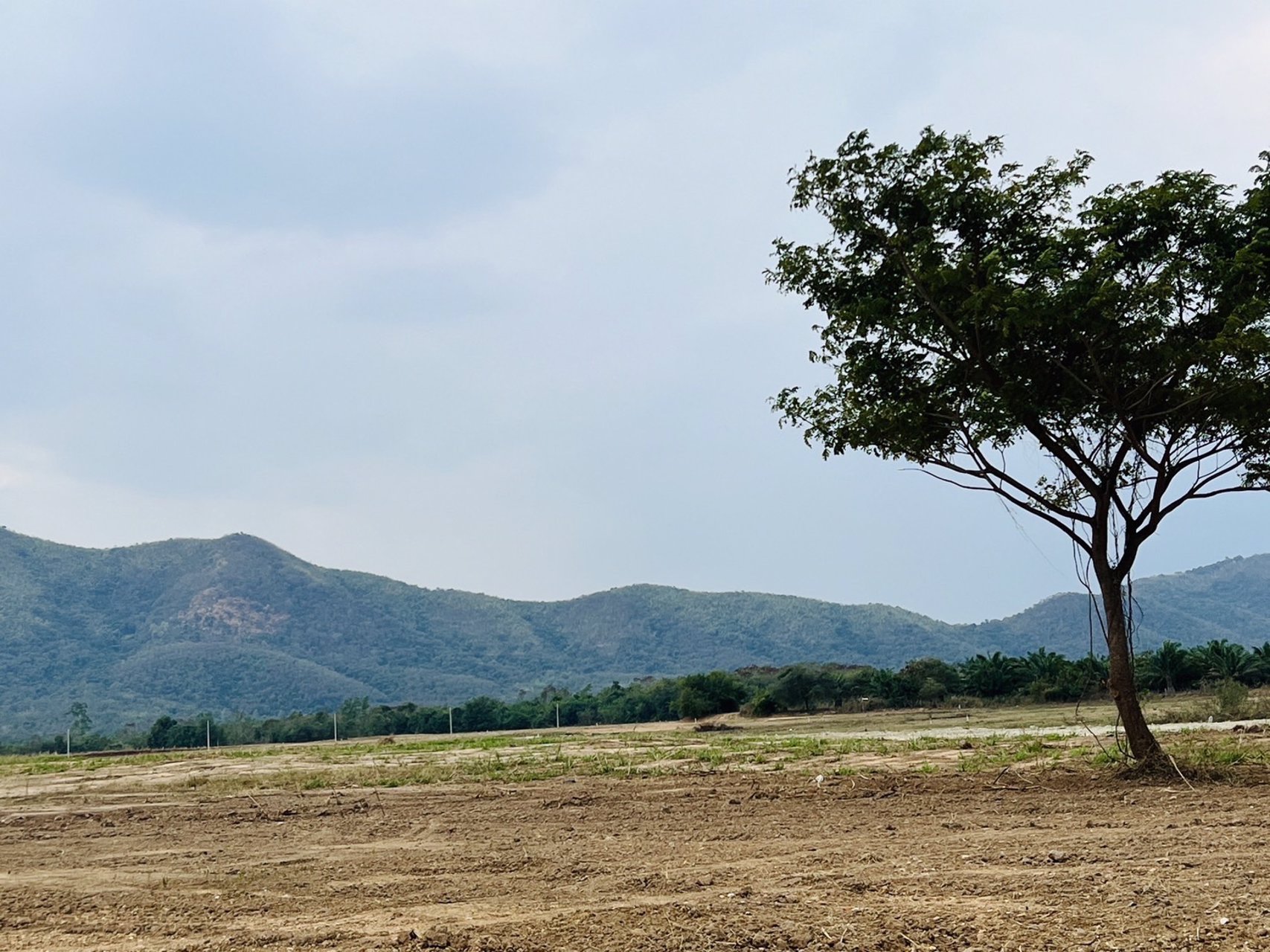 มาแล้วค่ะของดีมีน้อยนะค่ะ-วิวเขาดอกไม้สวยๆ