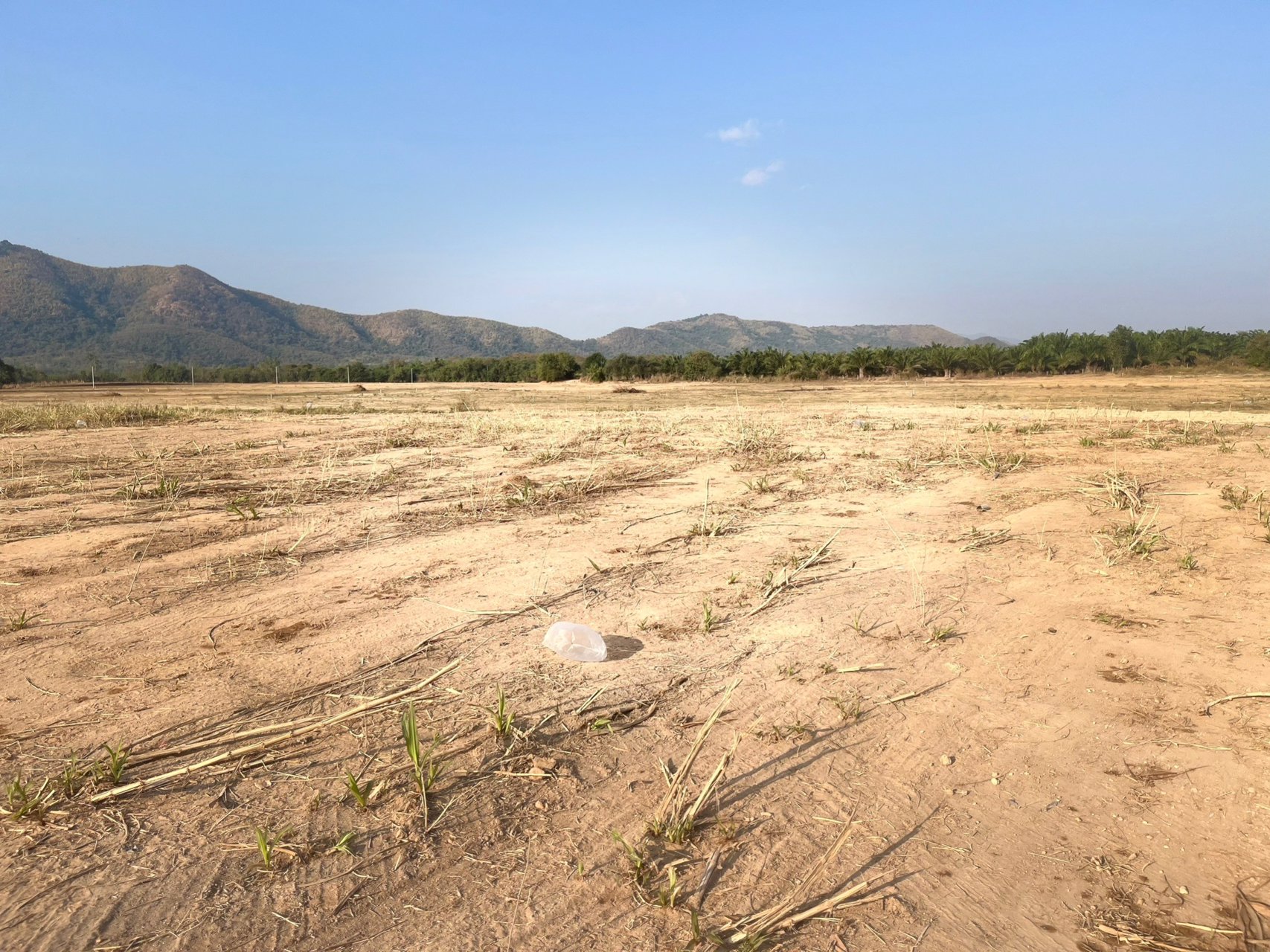 มาแล้วค่ะของดีมีน้อยนะค่ะ-วิวเขาดอกไม้สวยๆ