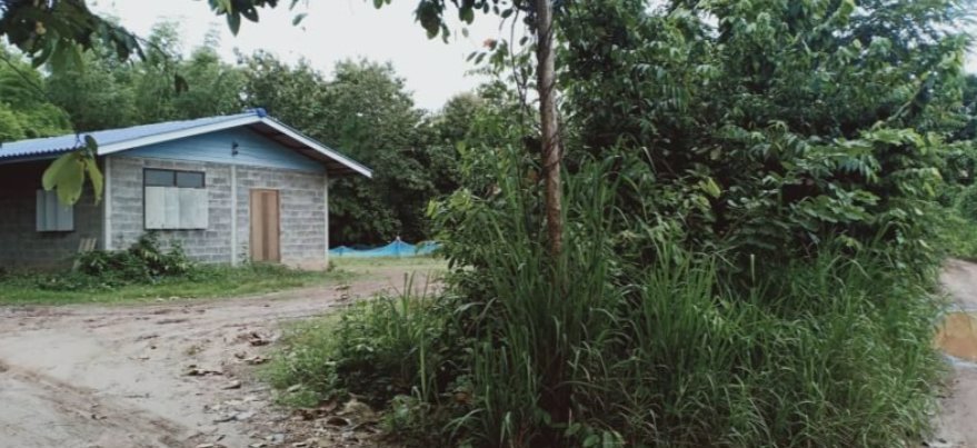 ขายบ้านพร้อมที่ดิน11ไร่-5ตรว-แบ่งขาย-2ไร่-ราคา990000บาท