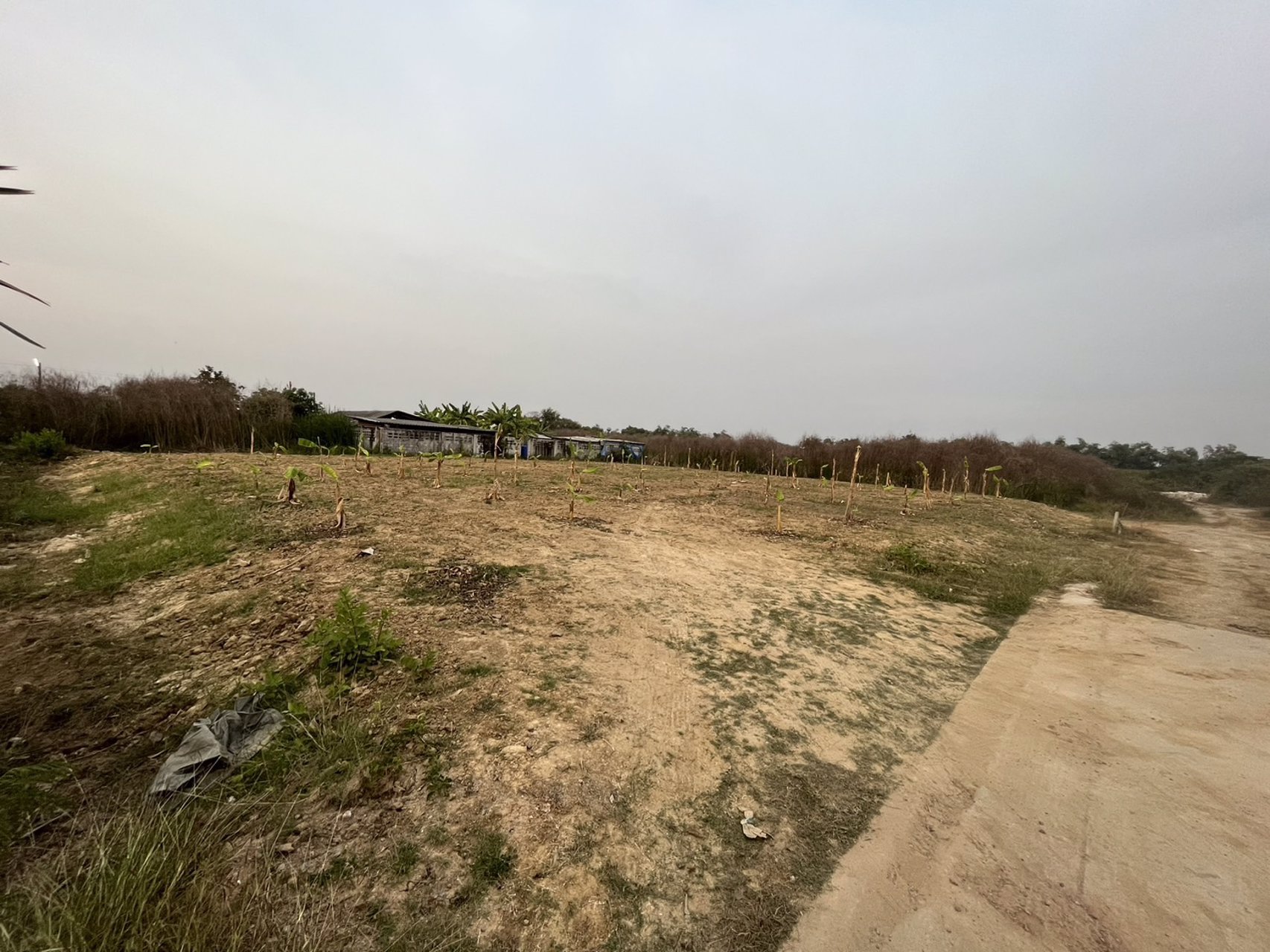 ขายที่ดิน-2-แปลง-เนื้อที่รวม-350-ตรวา-ถมแล้ว