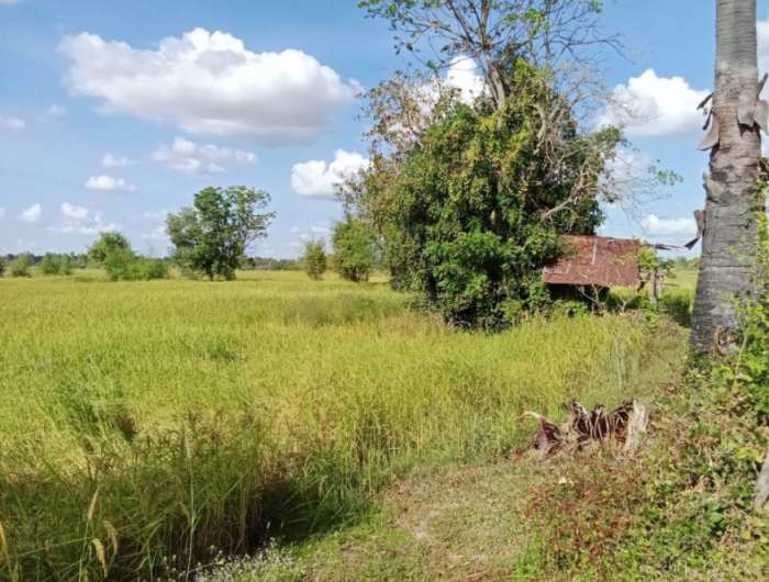 ด่วนลดราคา-ขายที่ดินสวยเหมาะทำโคกหนองนา-อเมือง-จร้อยเอ็ด