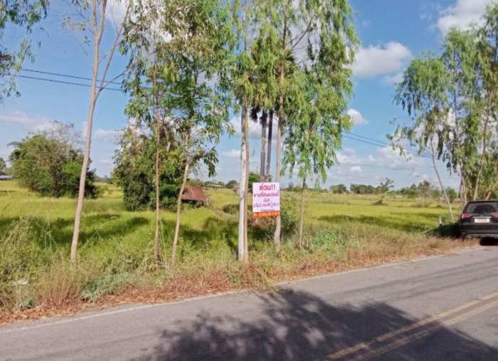 ด่วนลดราคา-ขายที่ดินสวยเหมาะทำโคกหนองนา-อเมือง-จร้อยเอ็ด