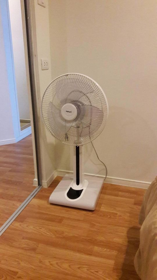 1234-lumpini-park-phetkasem-98-for-rent