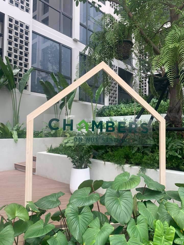 4475-ให้เช่า-โครงการใหม่-chamber-ซอยสุขุมวิท-81