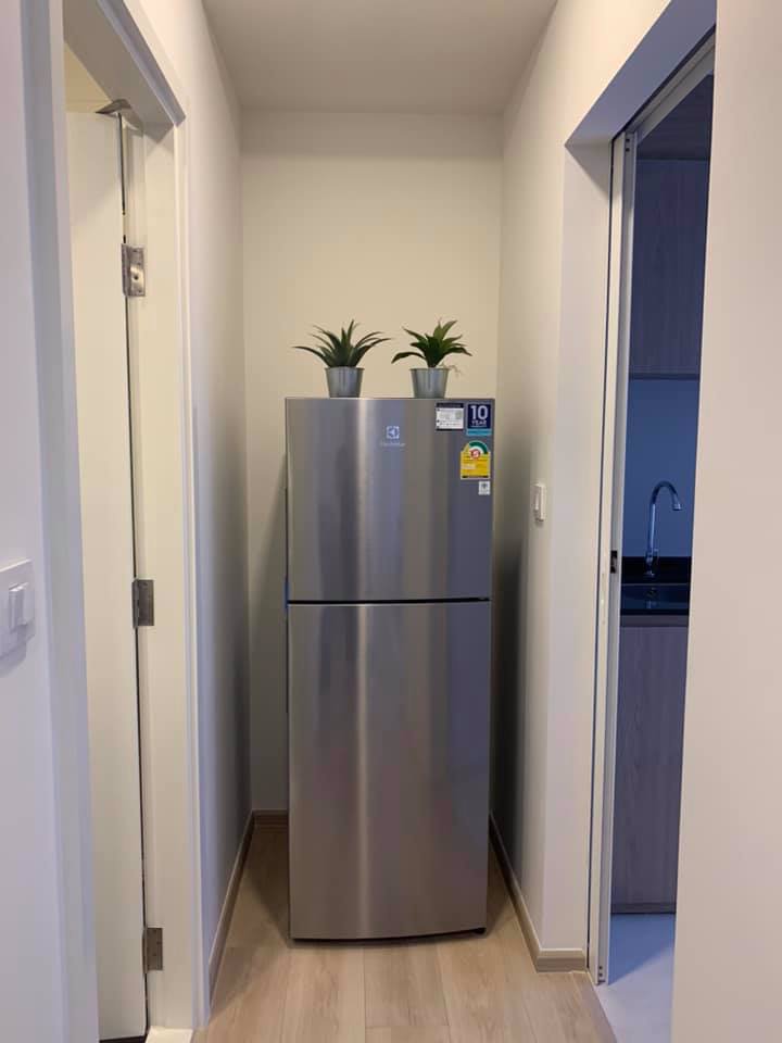 4475-ให้เช่า-โครงการใหม่-chamber-ซอยสุขุมวิท-81