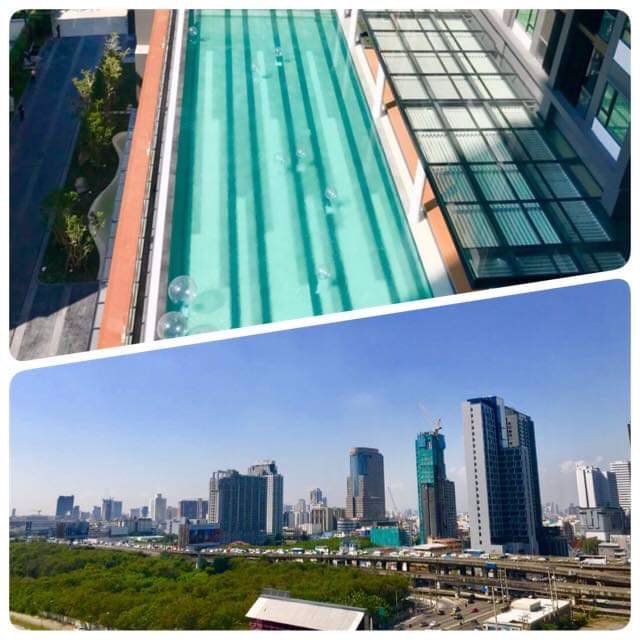 4499-ให้เช่า-life-asoke-วิวสระว่ายน้ำและสวนมักกะสันโล่งๆ