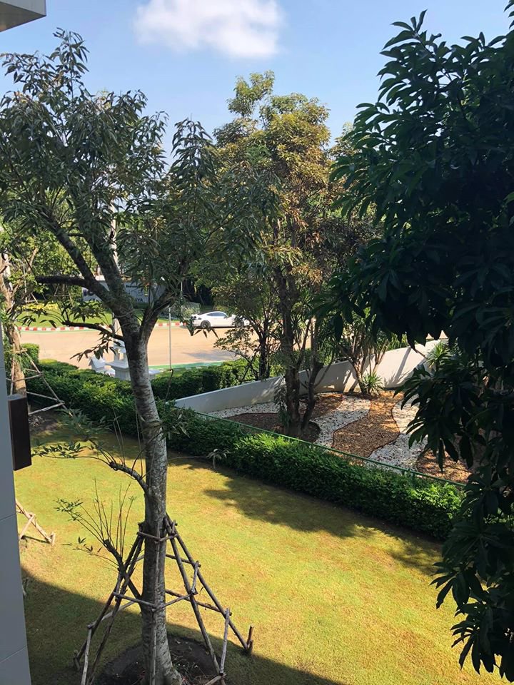 4504-ให้เช่าคอนโดใหม่-พร้อมอยู่-zelle-salaya-condo-โครงการ-foret-salaya