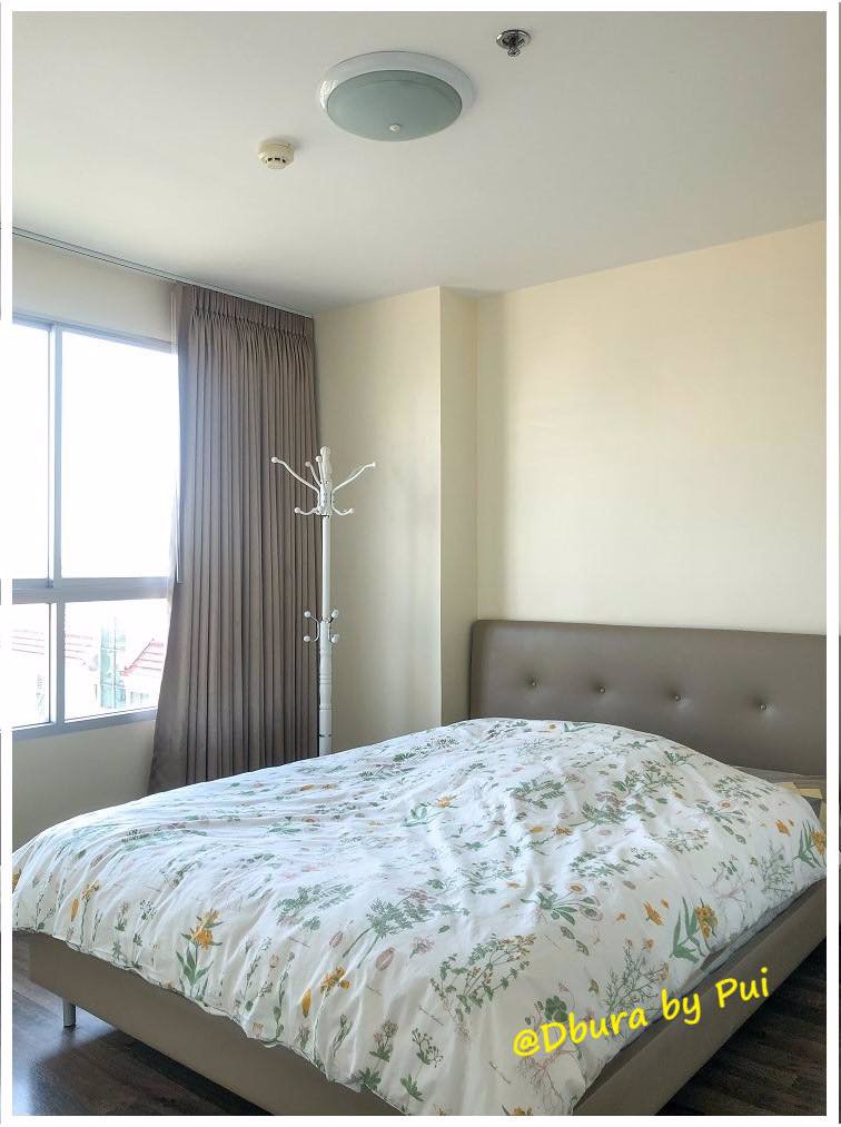 4526-ให้เช่า-ดีบุรา-พรานนก-dbura