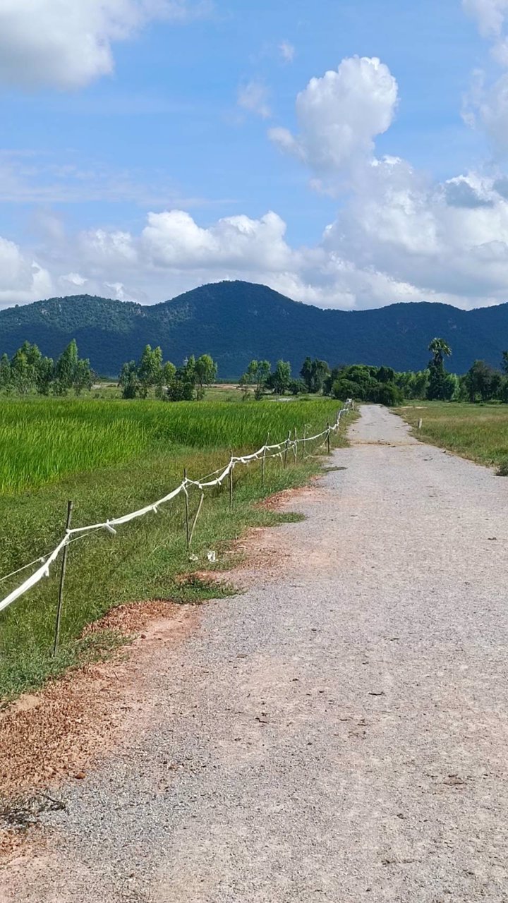 ด่วน-ที่ดิน1-ไร่-วิวเขา-สวยมากๆ-ติดอู่ทองสุพรรณบุรี