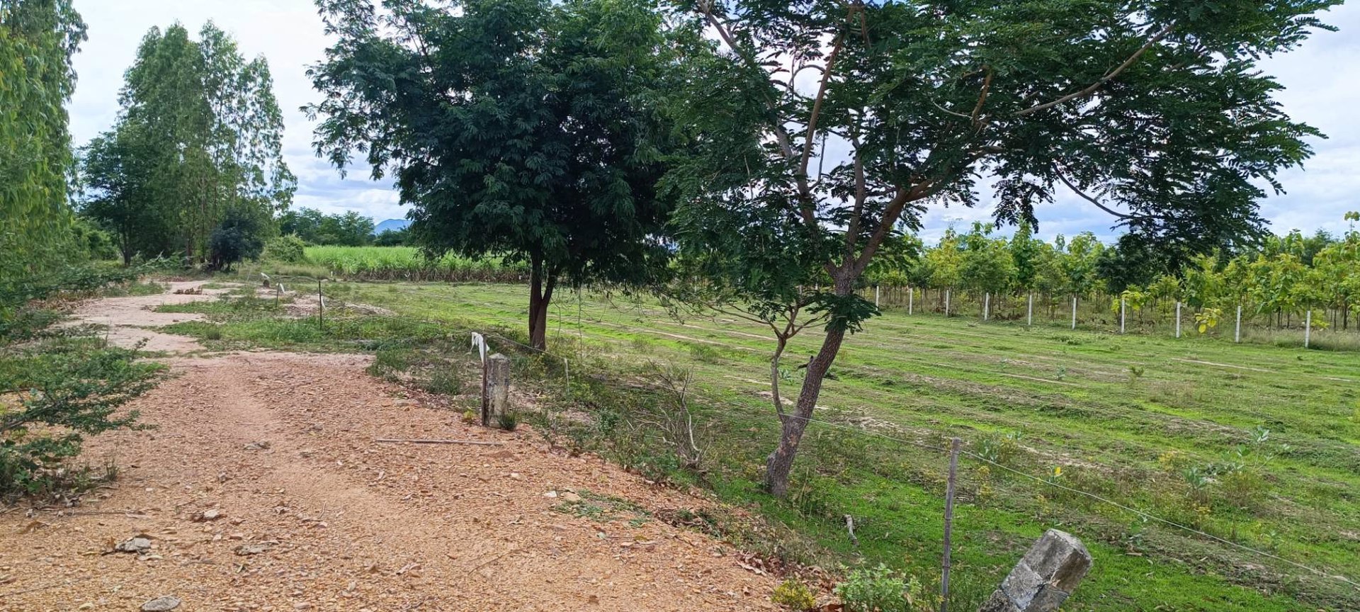 ที่สวย-ติดฝายน้ำล้น-เนื้อที่-2-ไร่-ด่วนไร่ละ-229990-บาท