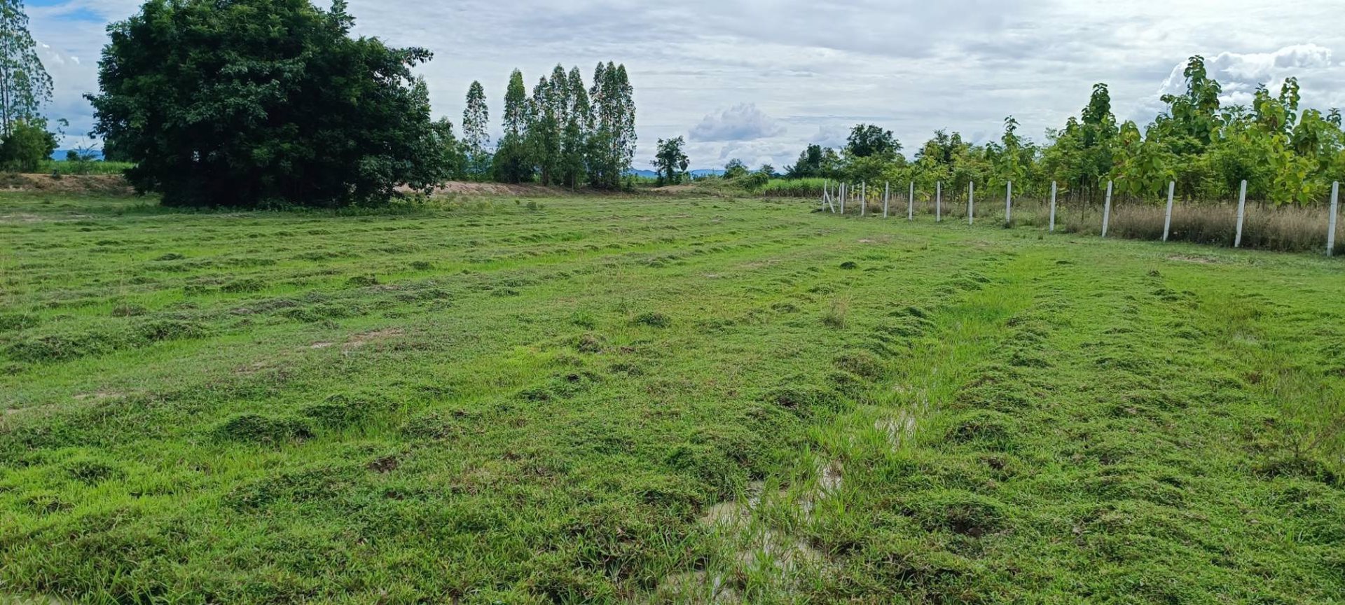 ที่สวย-ติดฝายน้ำล้น-เนื้อที่-2-ไร่-ด่วนไร่ละ-229990-บาท