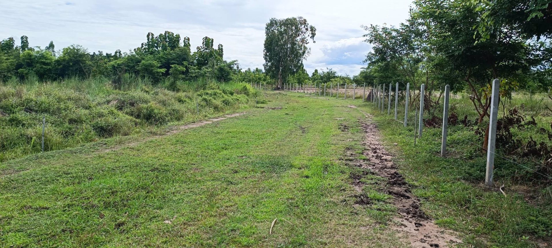 ที่สวย-ติดฝายน้ำล้น-เนื้อที่-2-ไร่-ด่วนไร่ละ-229990-บาท