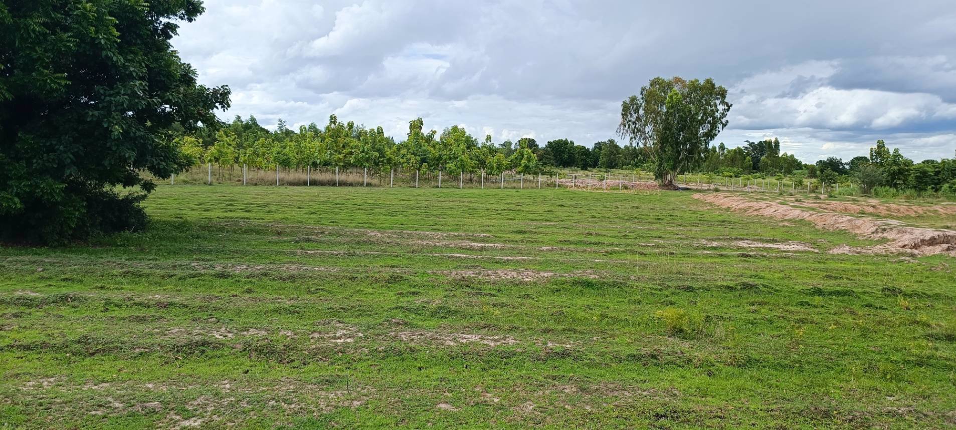 ที่สวย-ติดฝายน้ำล้น-เนื้อที่-2-ไร่-ด่วนไร่ละ-229990-บาท