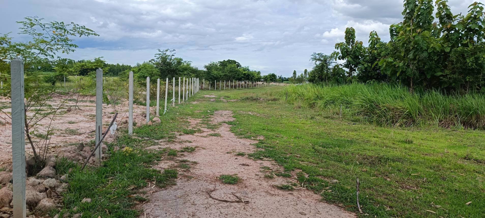 ที่สวย-ติดฝายน้ำล้น-เนื้อที่-2-ไร่-ด่วนไร่ละ-229990-บาท