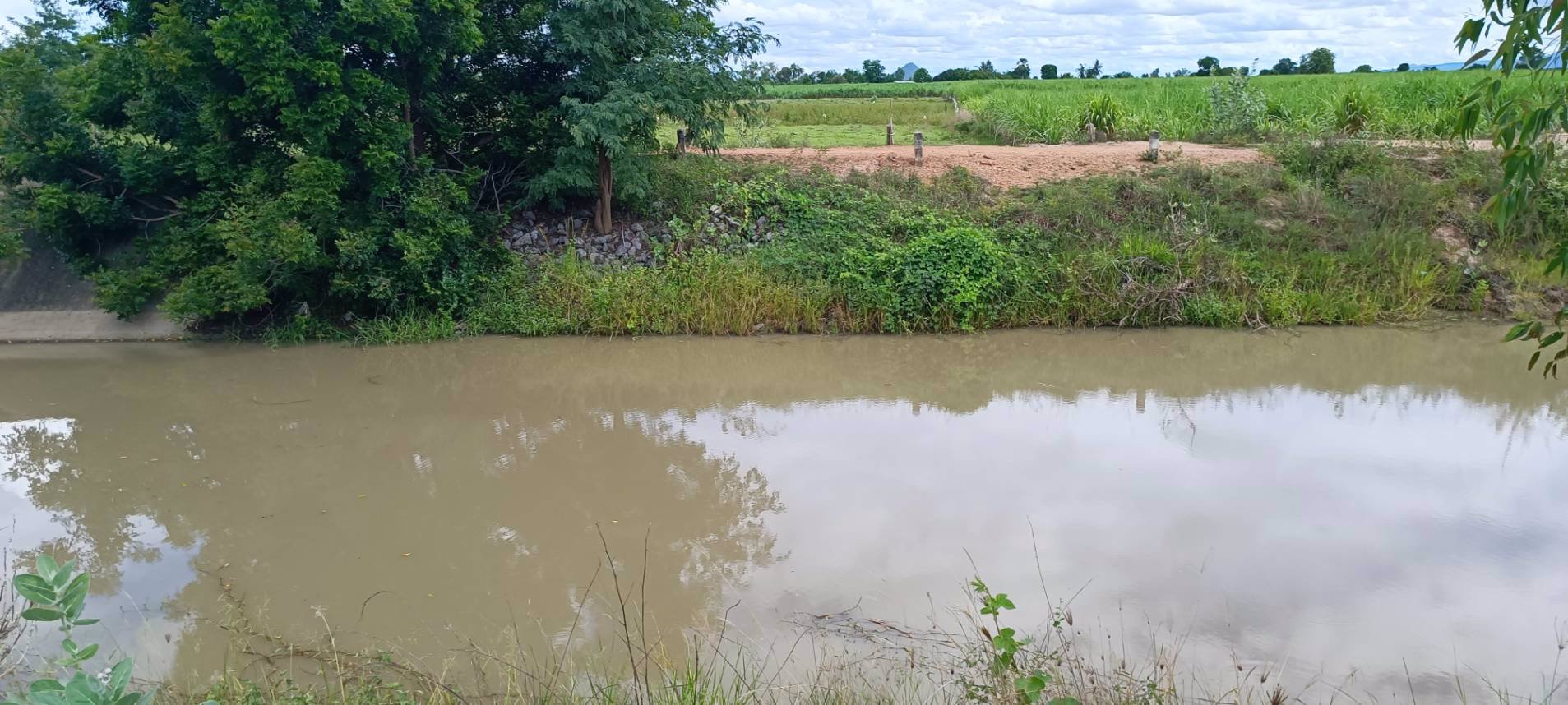 ที่สวย-ติดฝายน้ำล้น-เนื้อที่-2-ไร่-ด่วนไร่ละ-229990-บาท