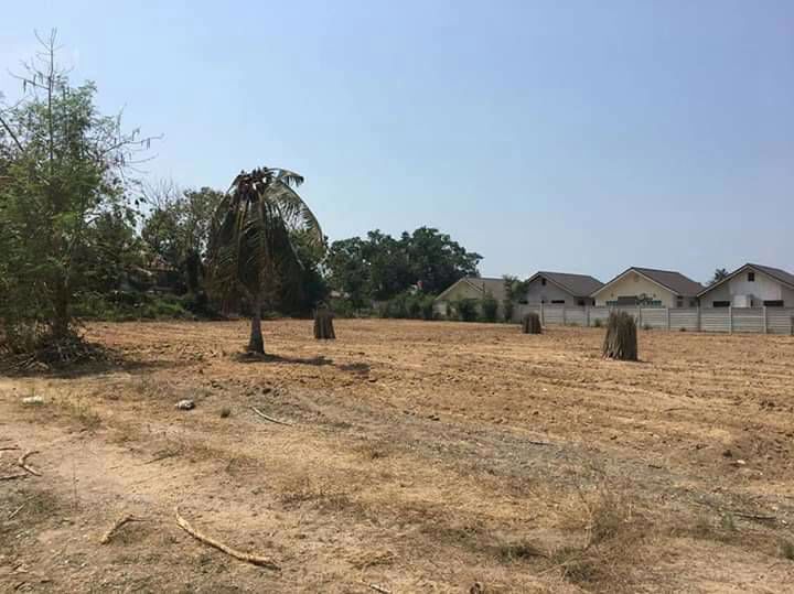 ขายที่ดิน-14-ไร่-ตำบล-หนองปลาไหล-อำเภอบางละมุง-ชลบุรี