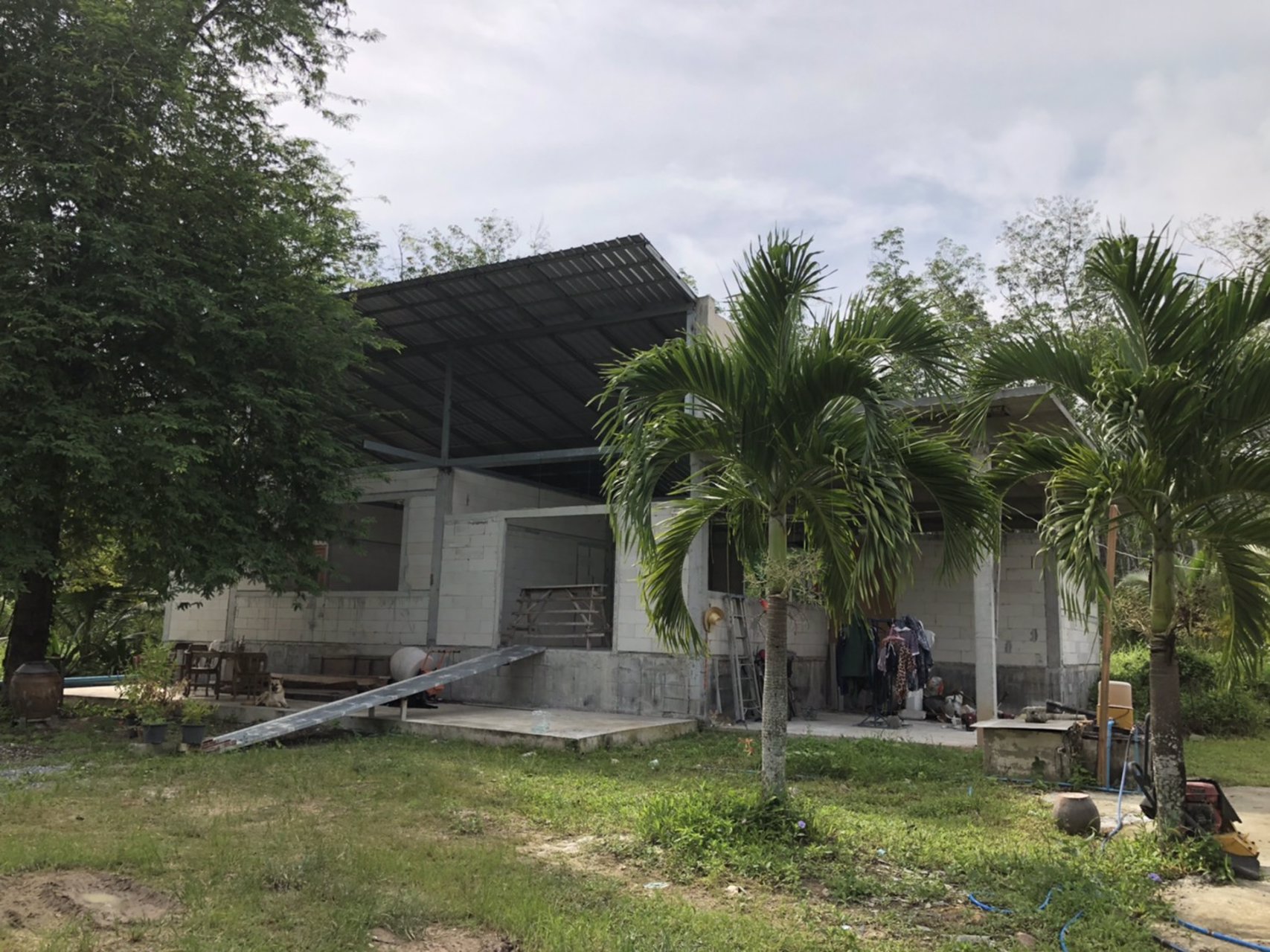 ขายที่ดินพร้อมมะพร้าวน้ำหอมและบ้าน-1-หลัง-เนื้อที่ทั้งหมด-145-ไร่