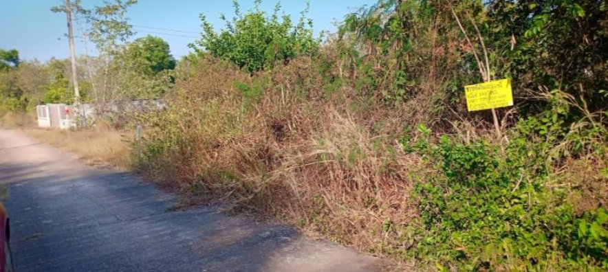 ขายที่ดิน100ตรวราคา179000บาท-ผ่อนวัน100บาท-