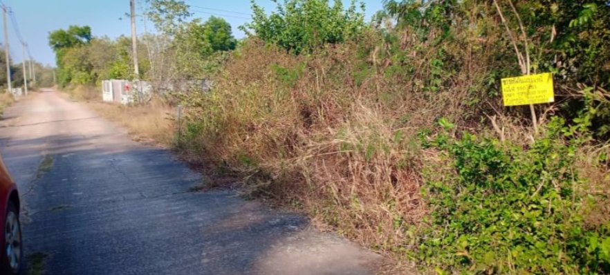 ขายที่ดิน100ตรวราคา179000บาท-ผ่อนวัน100บาท-