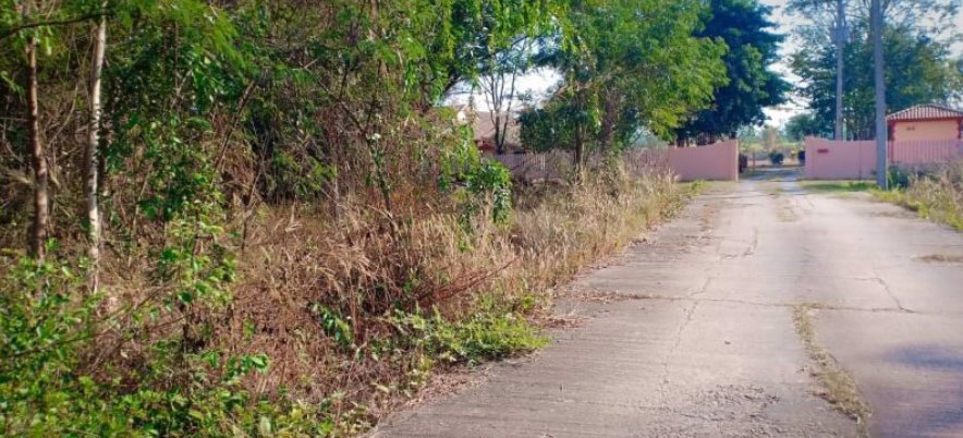 ขายที่ดิน100ตรวราคา179000บาท-ผ่อนวัน100บาท-