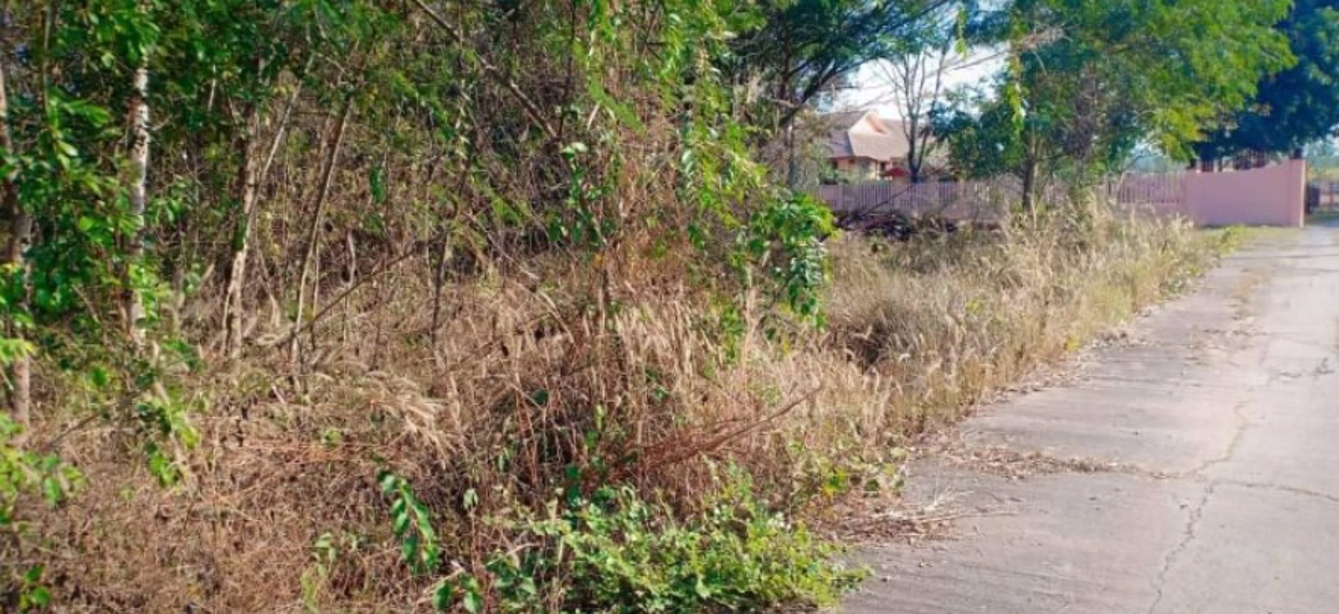 ขายที่ดิน100ตรวราคา179000บาท-ผ่อนวัน100บาท-