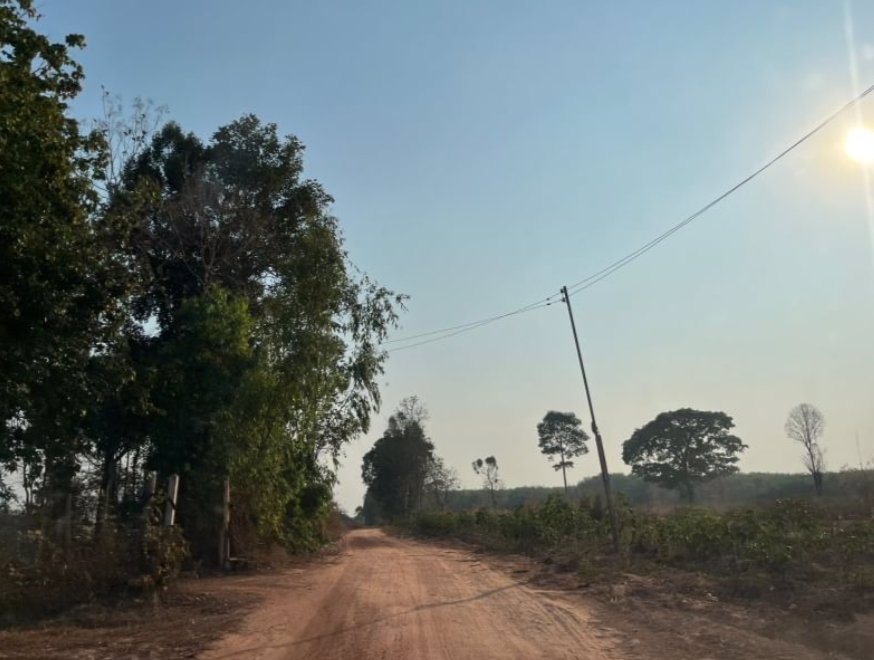 ขายที่ดิน-เนื้อที่รวม-6ไร่-1งาน63-ตรว