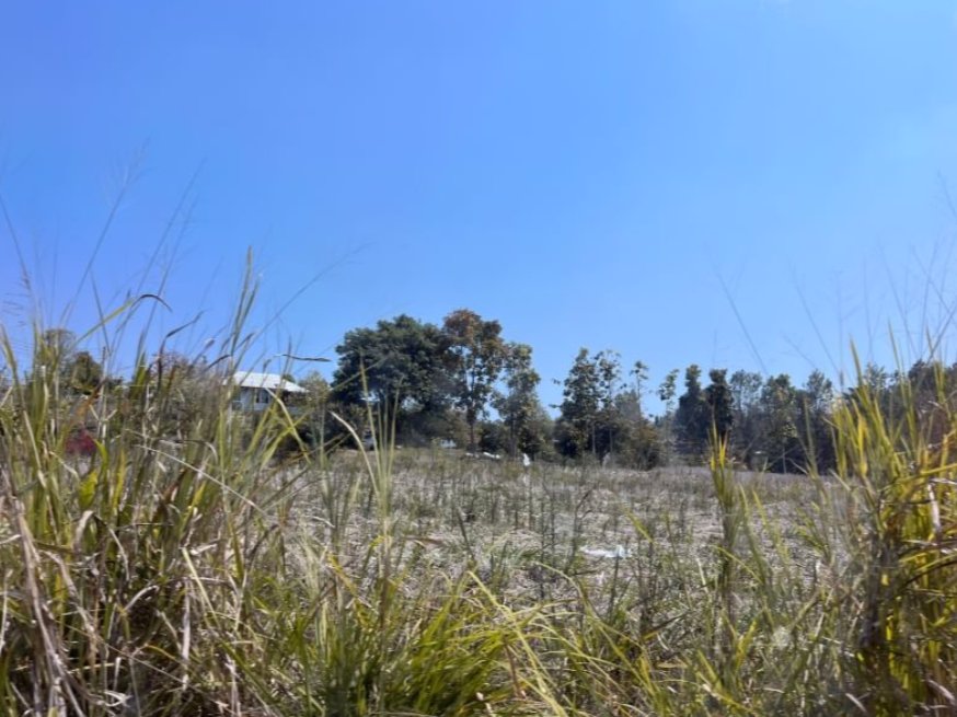 ขายที่ดิน-เนื้อที่รวม-6ไร่-1งาน63-ตรว